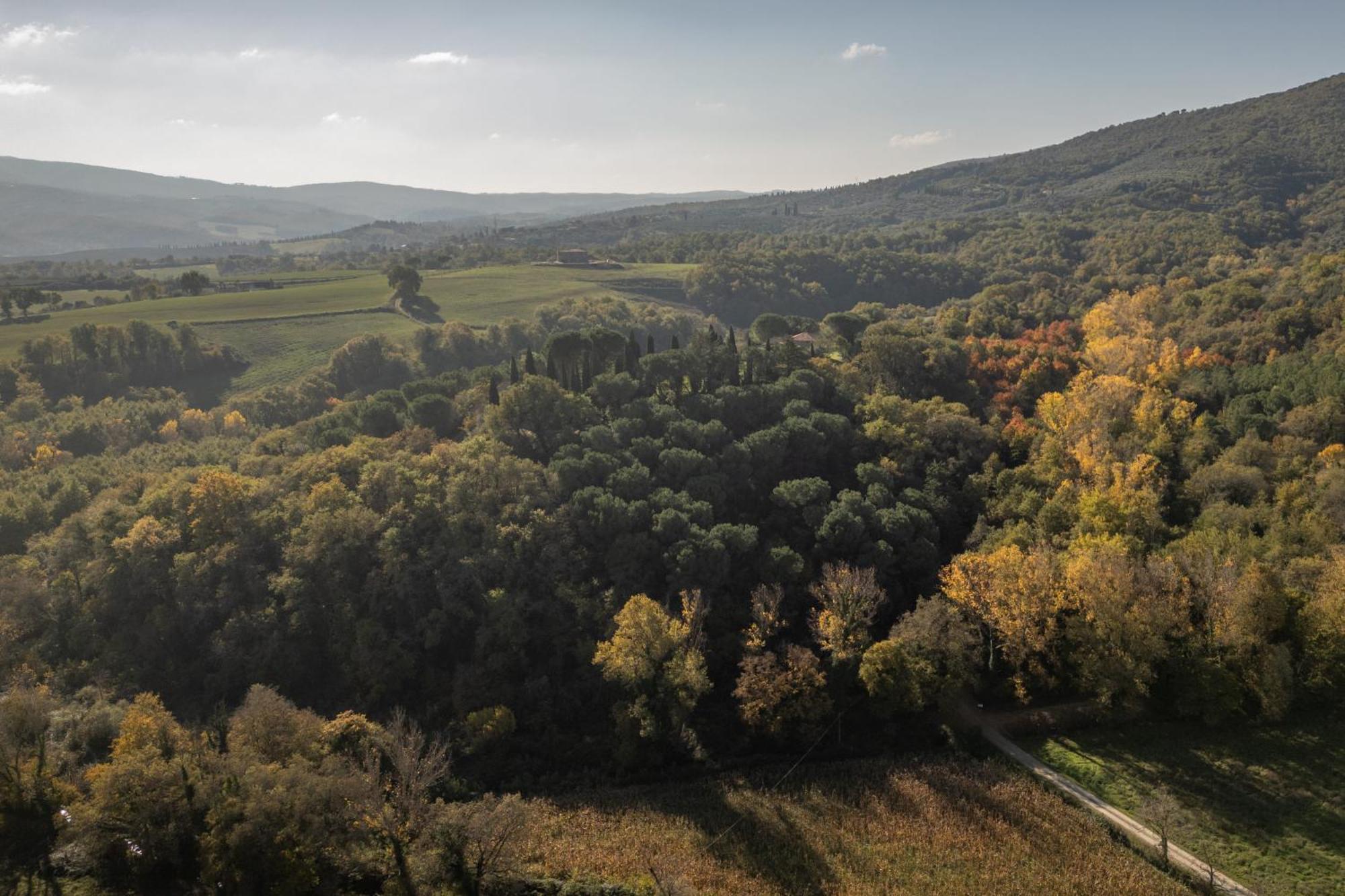 Tenuta Di Caiolo Panicale Exteriör bild